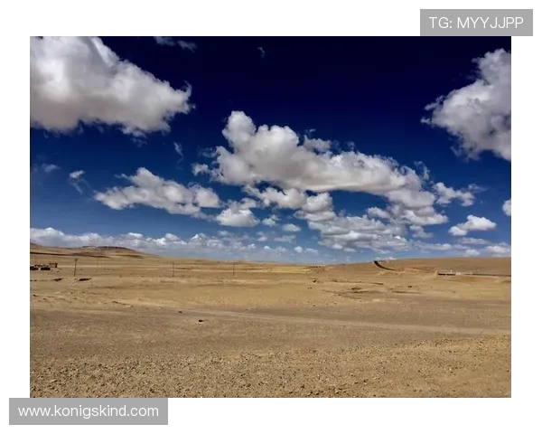 开云最新官方客户服务指南，解决购物过程中常见的疑问与问题